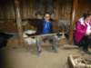 eiriksstadirvikinglonghouse15_small.jpg