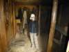 eiriksstadirvikinglonghouse_small.jpg