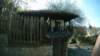 photo18_small.jpg