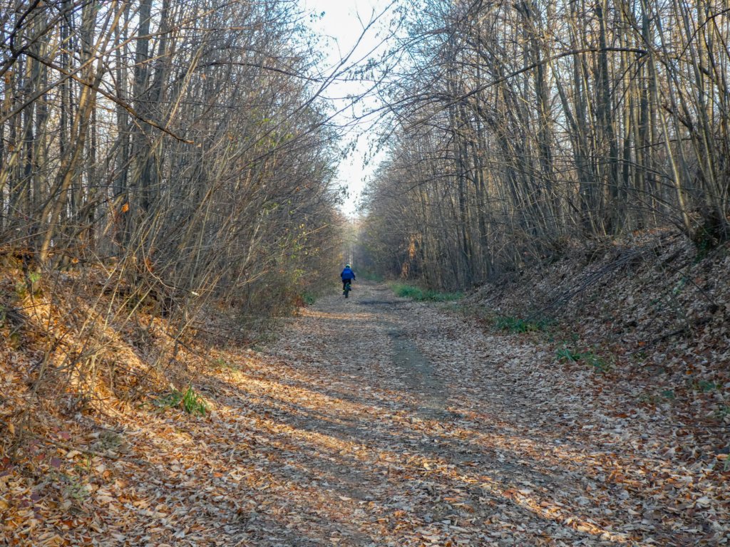photo25.jpg