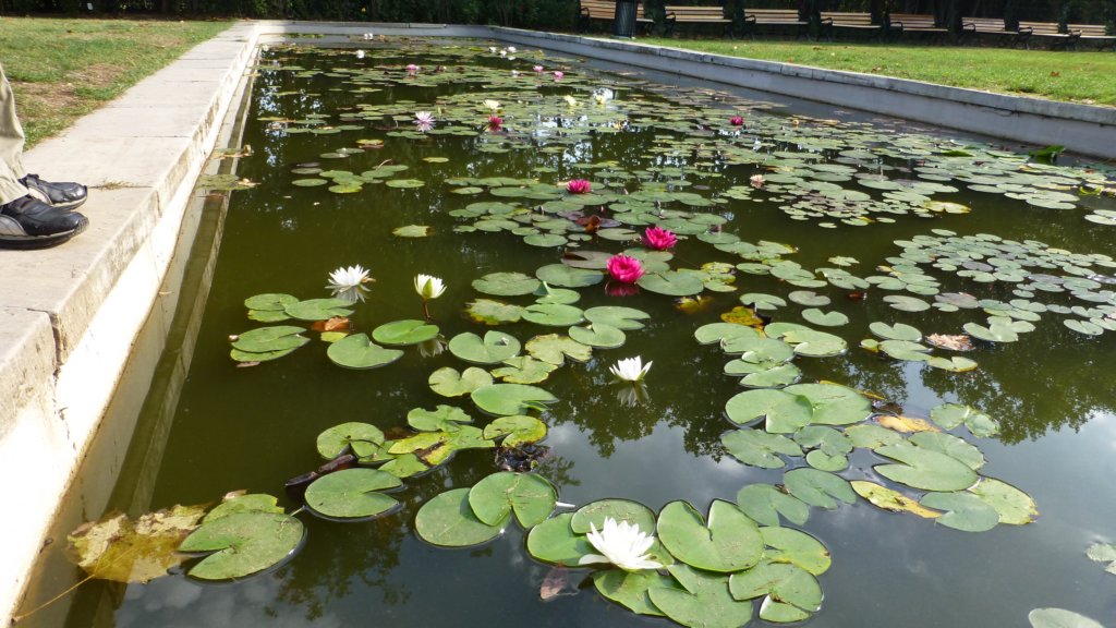 photo18.jpg