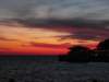 photo115_small.jpg