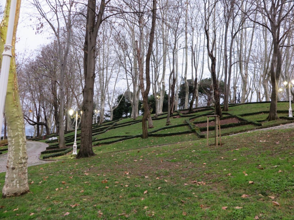 photo57.jpg