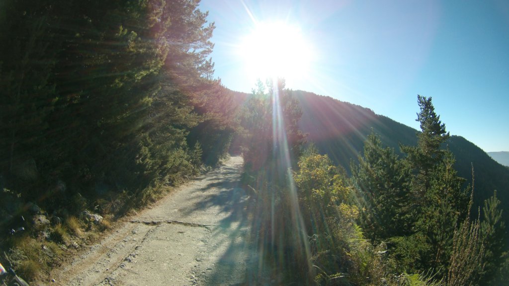 photo11.jpg