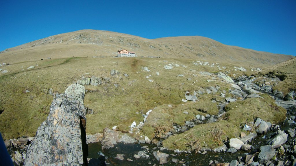 photo87.jpg