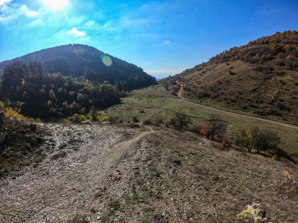 photo6.jpg