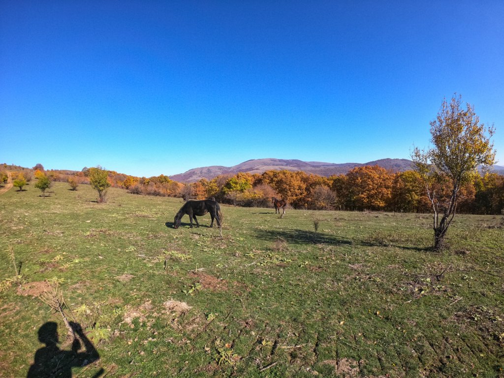 photo8.jpg