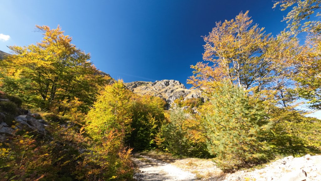 photo5.jpg