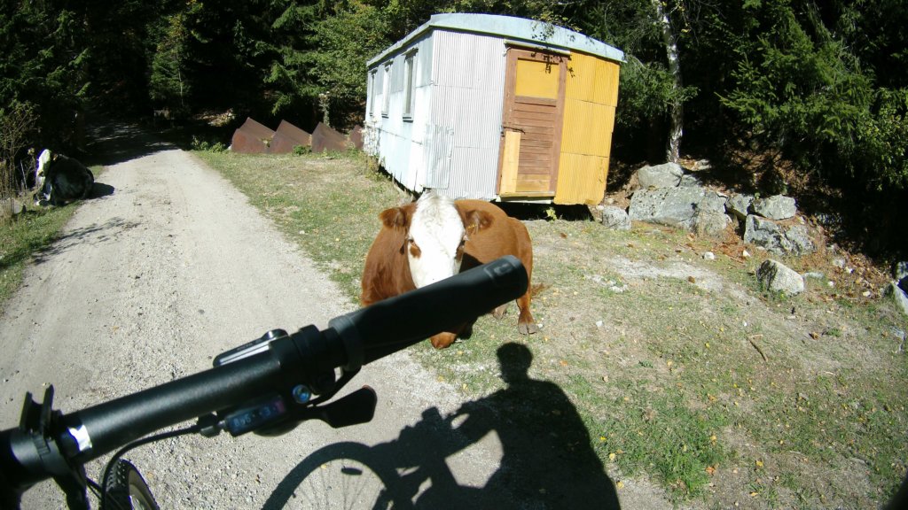 photo17.jpg
