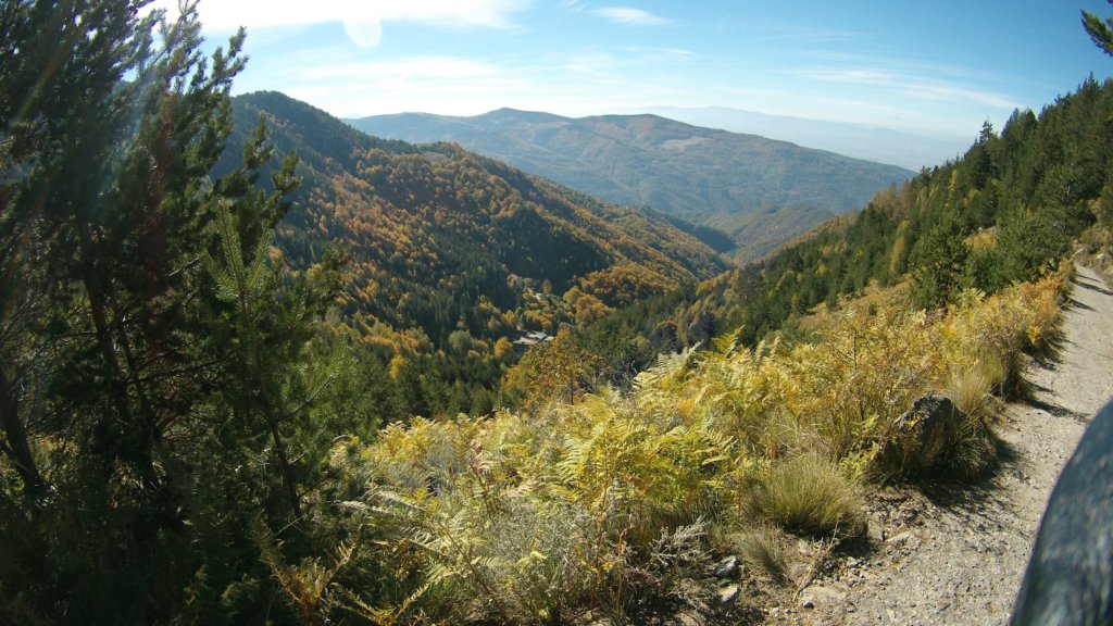 photo25.jpg