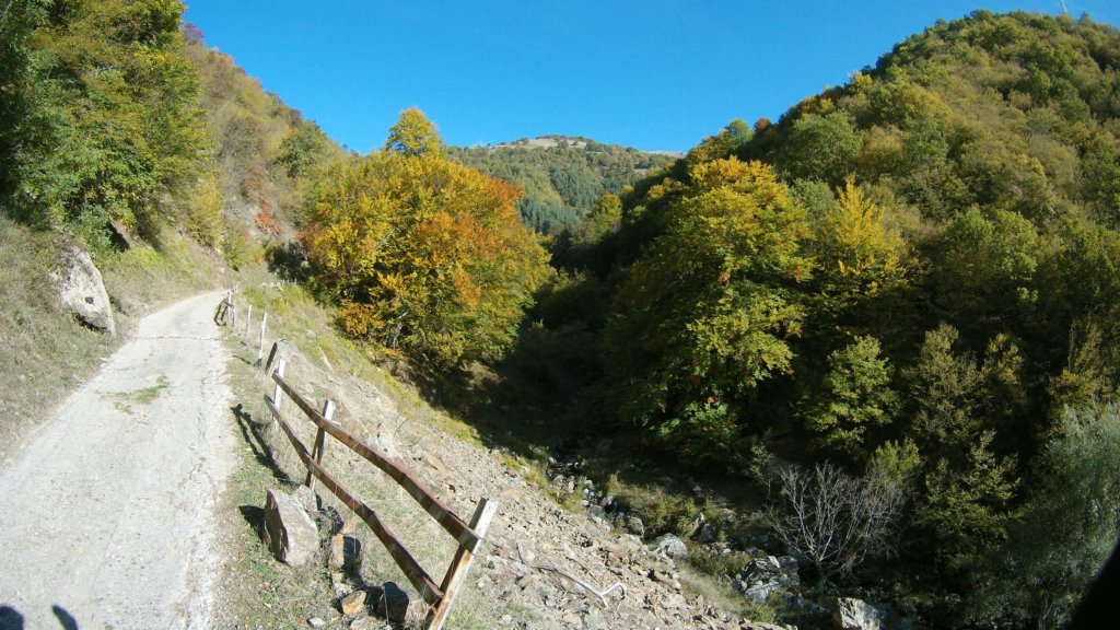 photo6.jpg