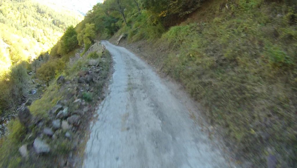 photo76.jpg