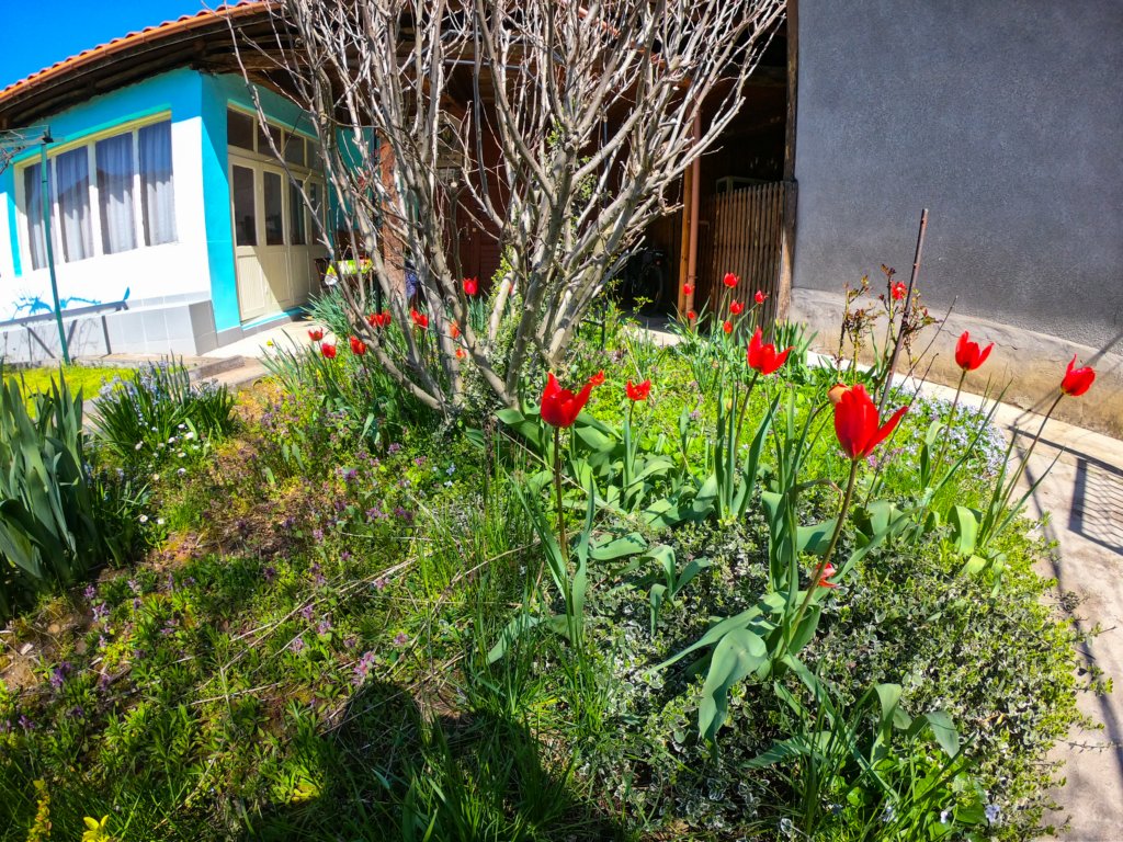 photo26.jpg
