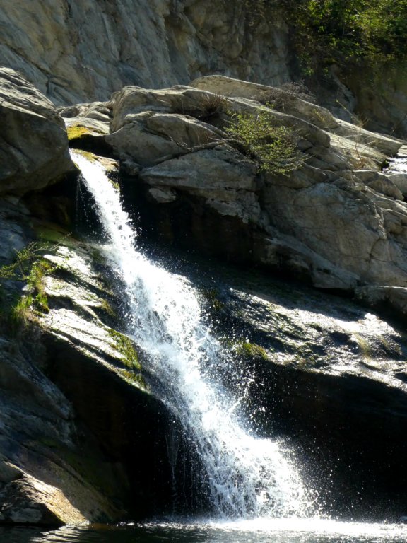 photo25.jpg