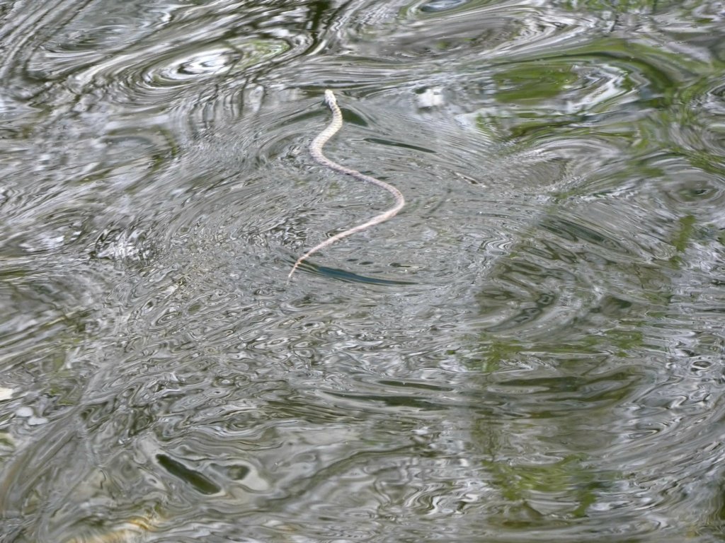 photo29.jpg