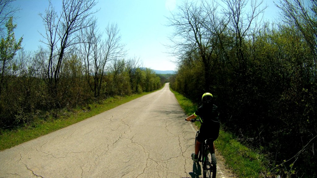 photo4.jpg