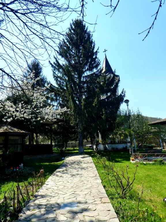 photo41.jpg