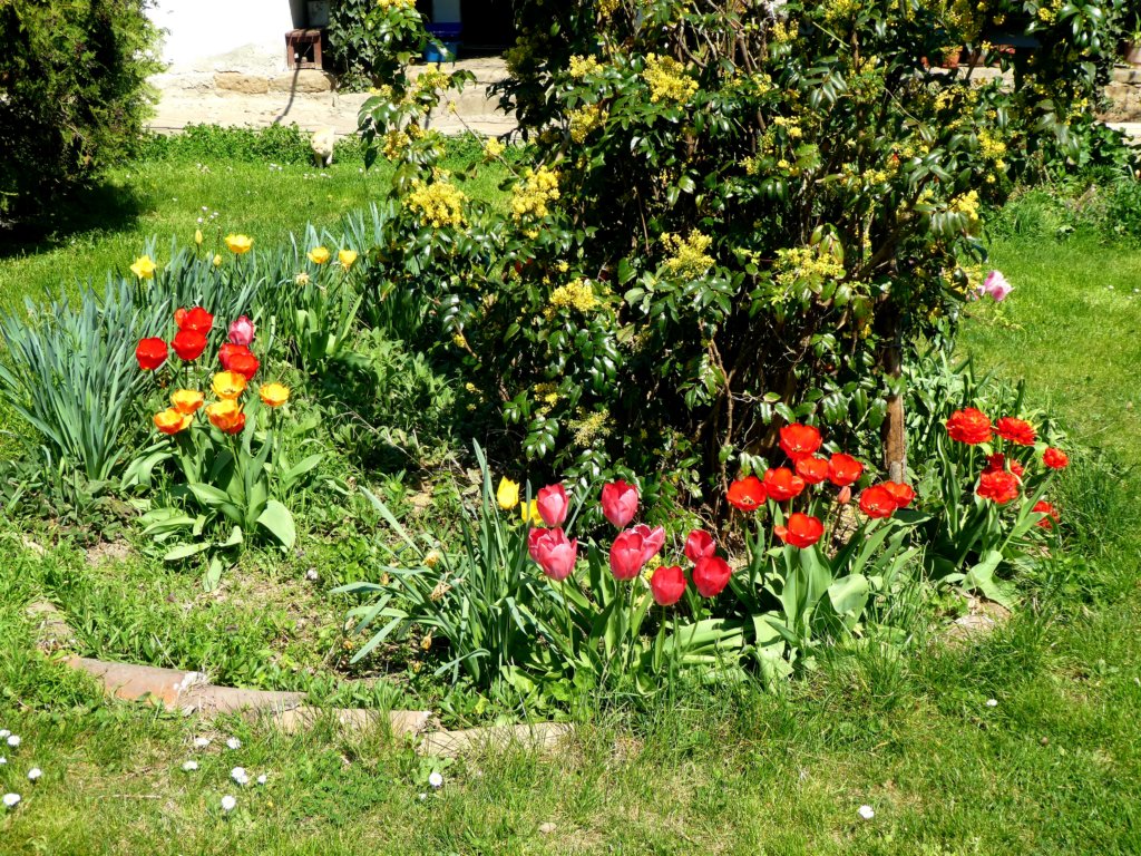 photo44.jpg