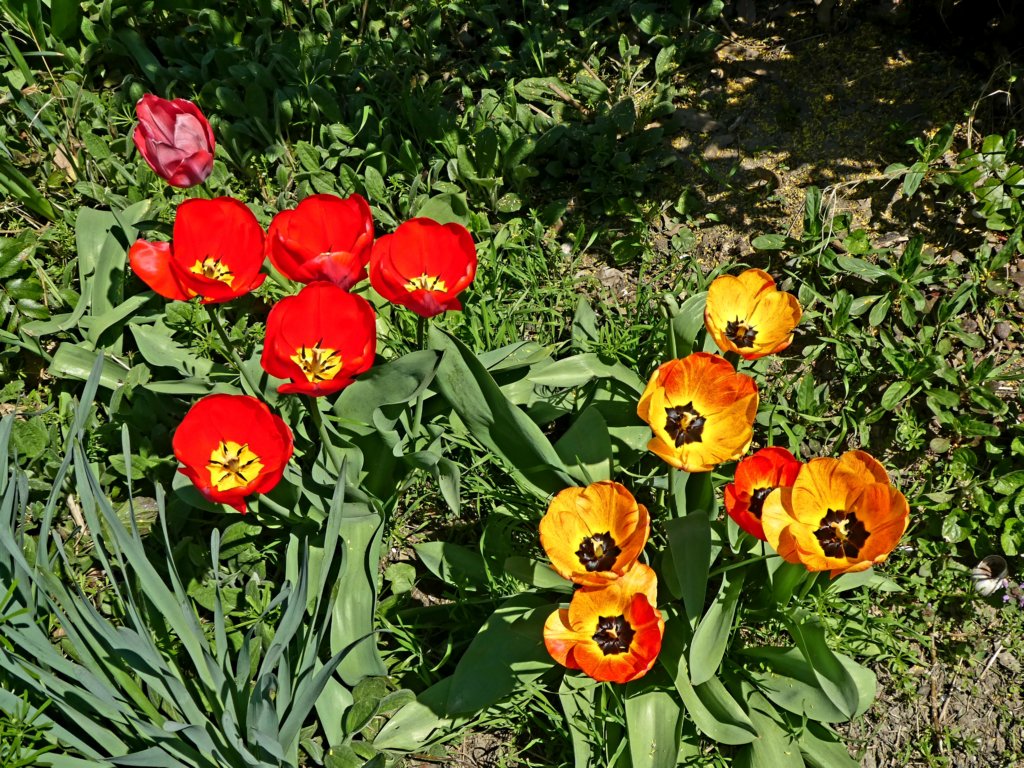 photo45.jpg