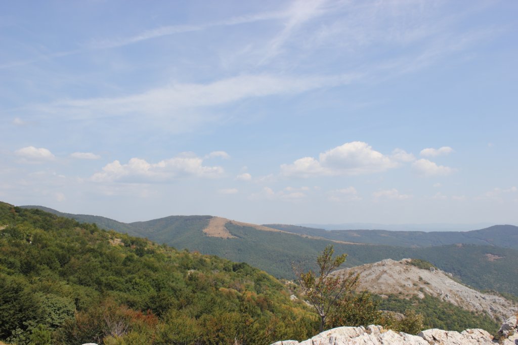 photo20.jpg
