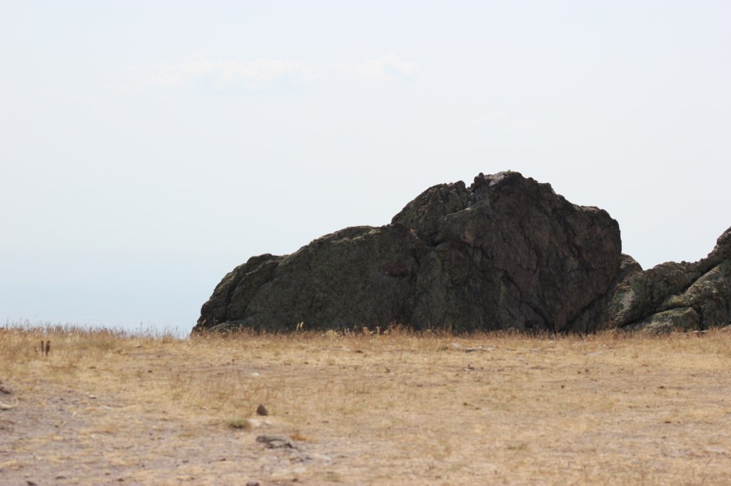 photo40.jpg