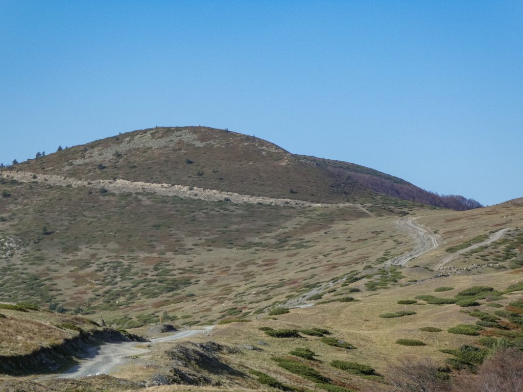 photo5.jpg