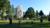 photo81_small.jpg