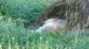 photo93_small.jpg