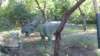 photo40_small.jpg