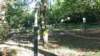 photo41_small.jpg