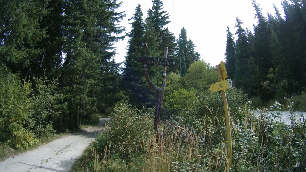 photo14.jpg