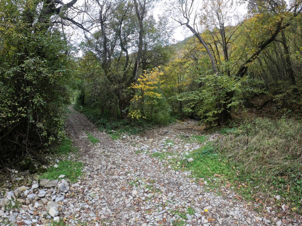 photo11.jpg