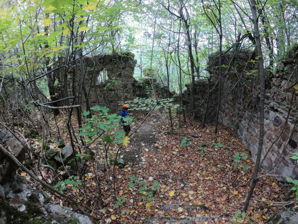 photo4.jpg