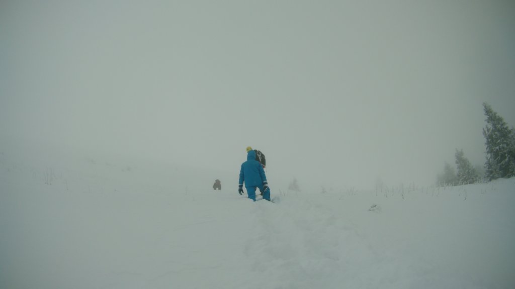 photo20.jpg