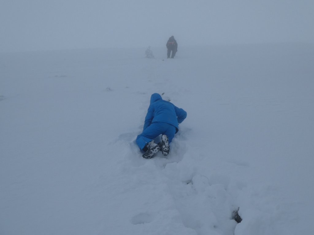 photo23.jpg