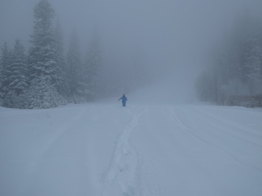photo42.jpg