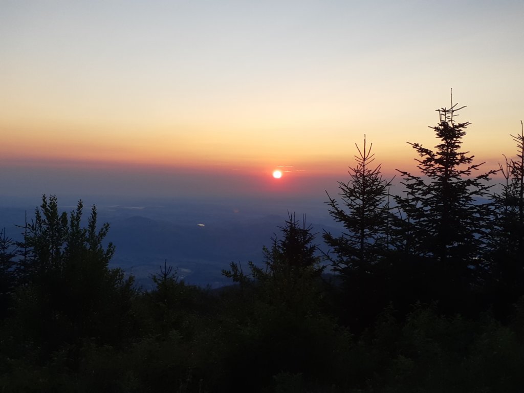 photo5.jpg