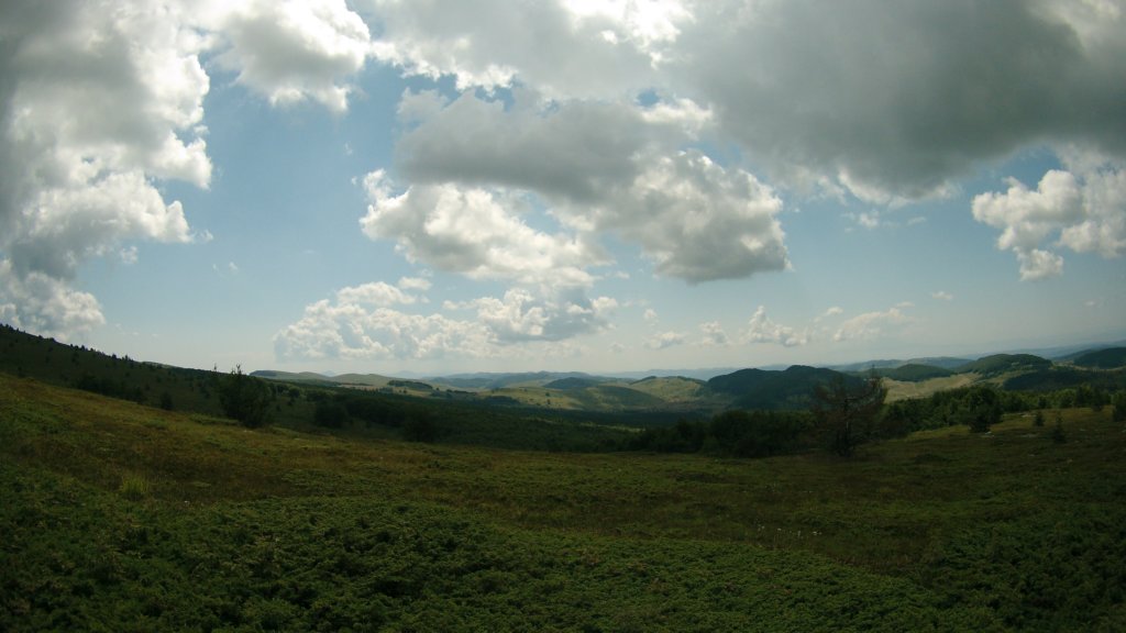 photo69.jpg