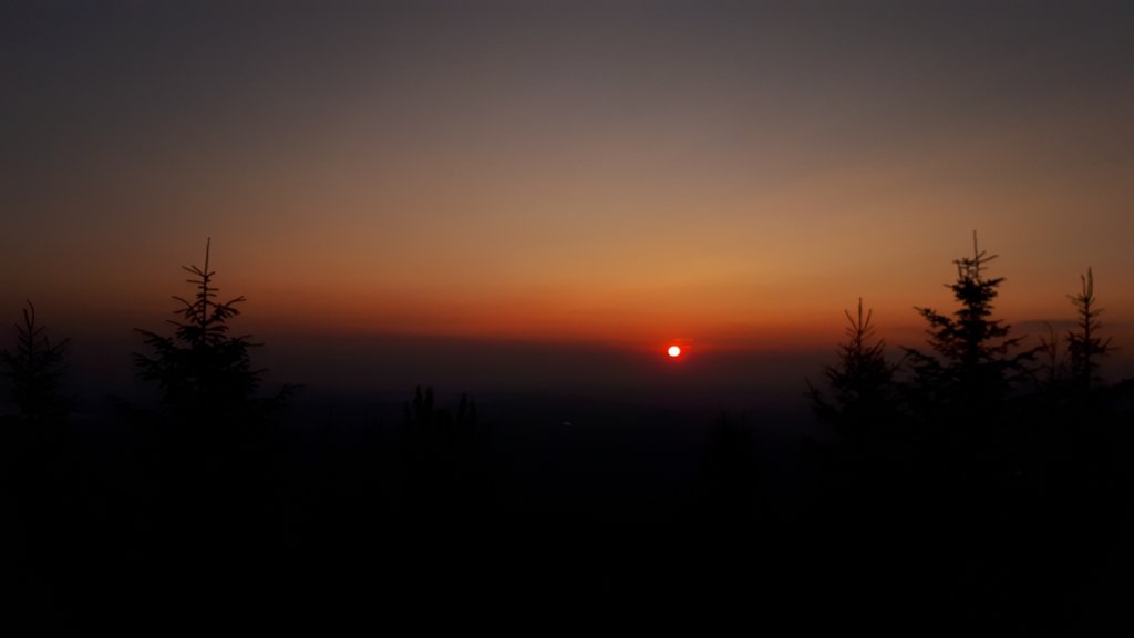 photo7.jpg
