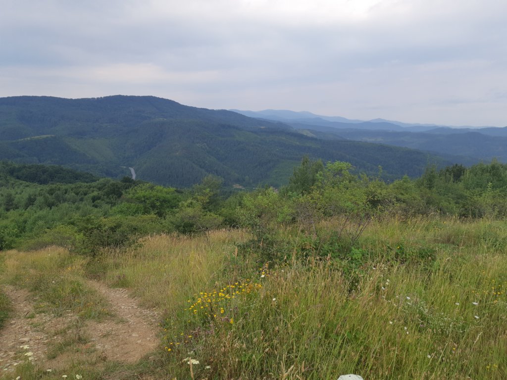 photo13.jpg