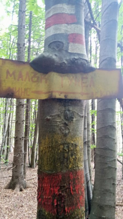 photo20.jpg