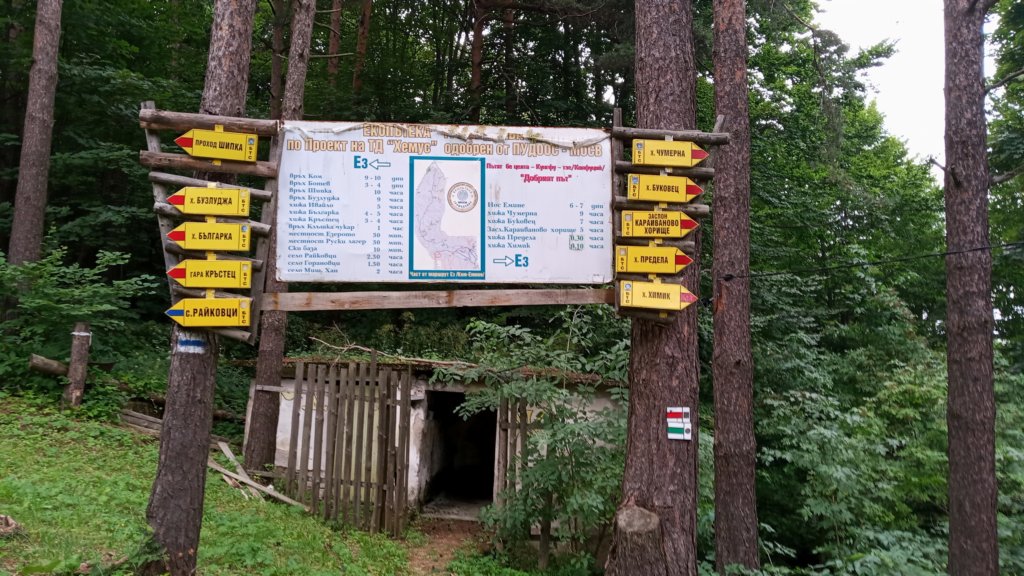 photo5.jpg