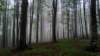 photo13_small.jpg