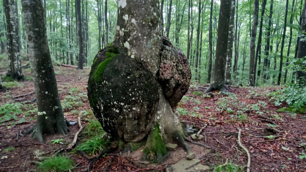 photo14.jpg