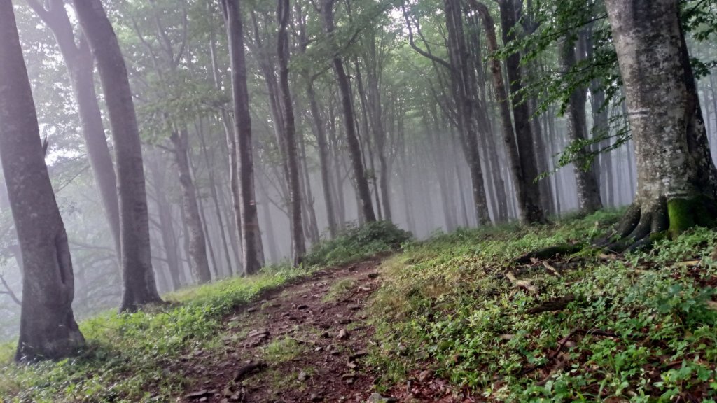 photo16.jpg