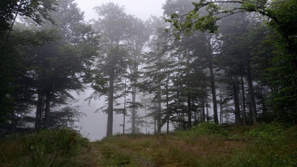 photo3.jpg
