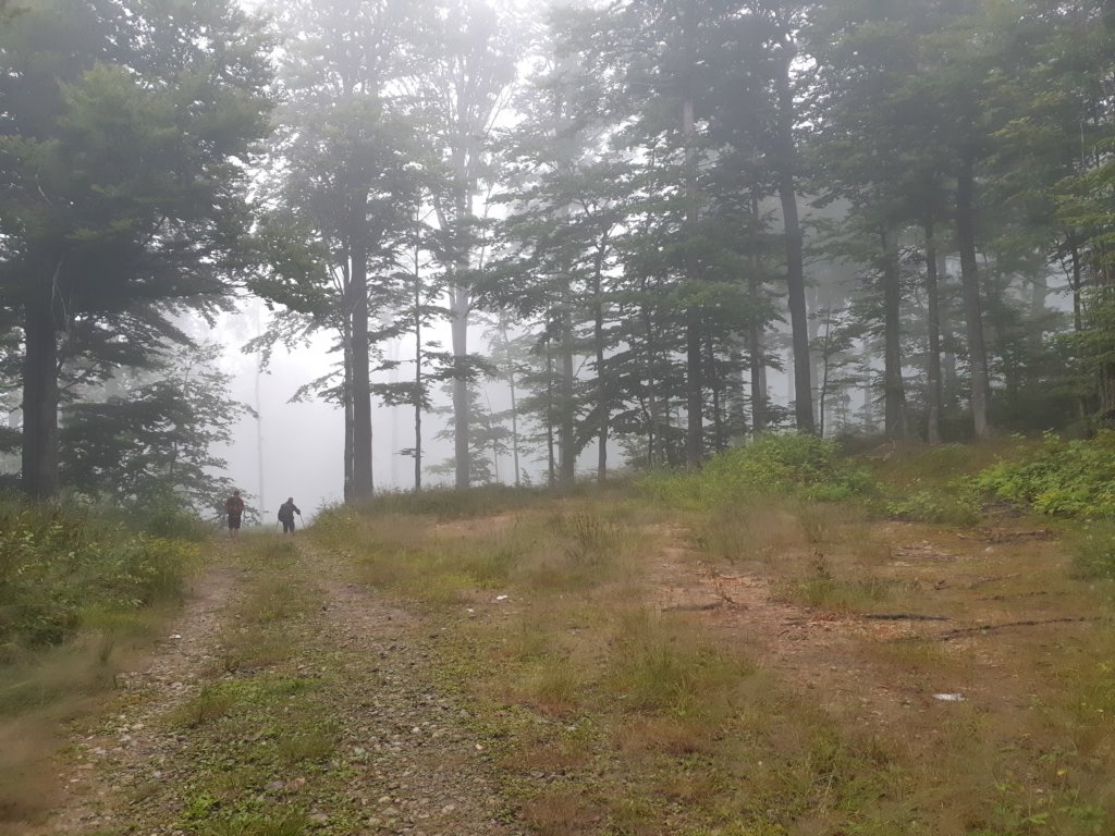 photo5.jpg