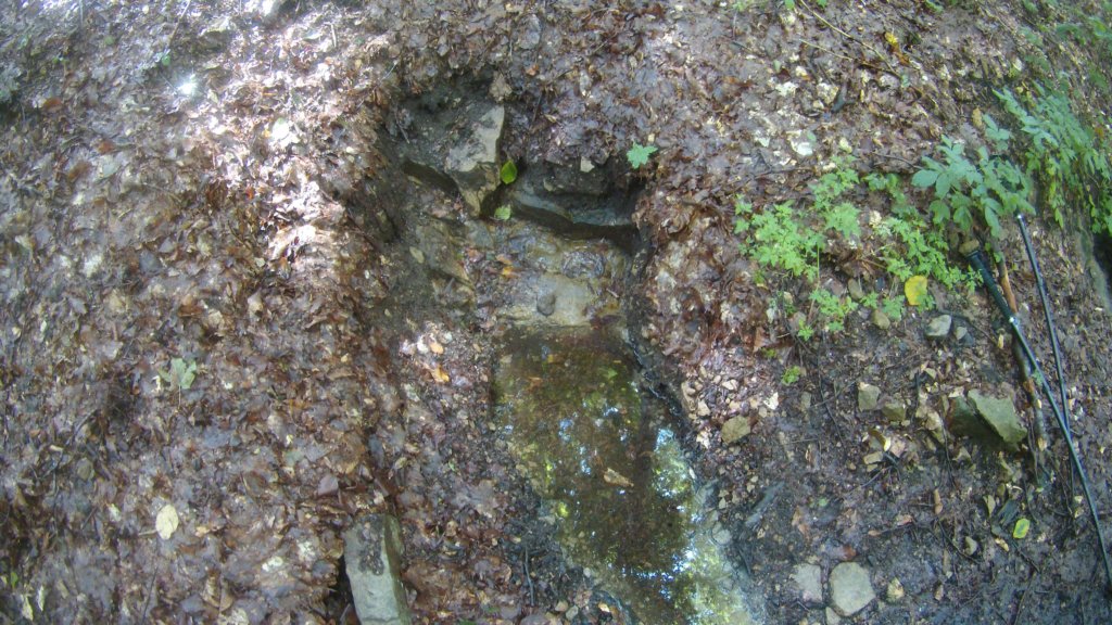 photo59.jpg