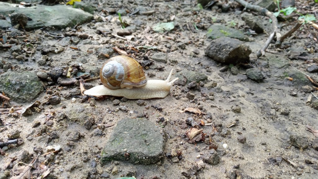 photo65.jpg