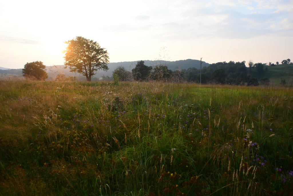 photo87.jpg